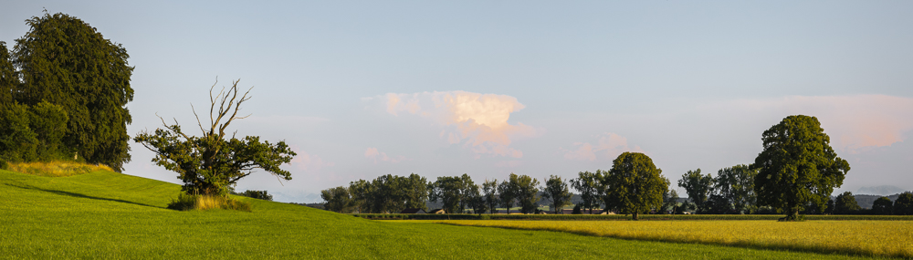 Platz 9 Guenter Bollenbacher